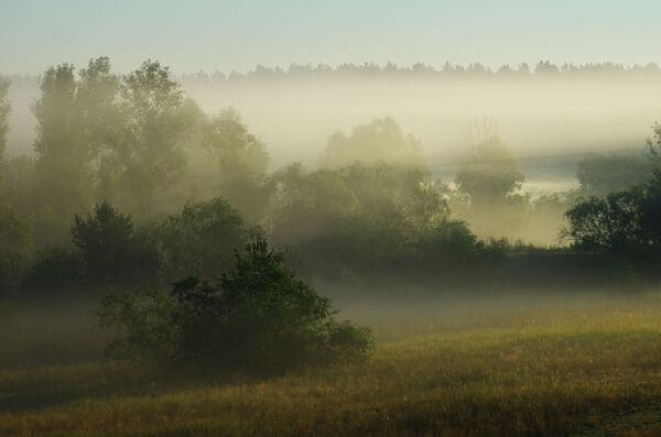 Ruhige Landschaft mit weichem Morgenlicht